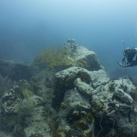 Divers House タオ島 エクステリア 写真