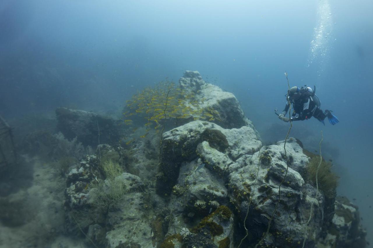 Divers House タオ島 エクステリア 写真